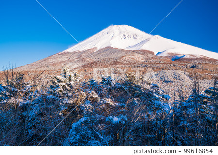 (靜岡縣)降雪時從水塚公園和越桐塚展望台看到的富士山 (靜岡縣)降雪時從水塚公園和越桐塚展望台看到的富士山 99616854
