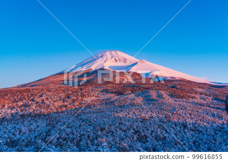 (Shizuoka Prefecture) Mt. Fuji seen from Mizugatsuka Park and Koshigirizuka Observatory during snowfall 99616855