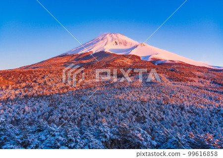 (Shizuoka Prefecture) Mt. Fuji seen from Mizugatsuka Park and Koshigirizuka Observatory during snowfall 99616858