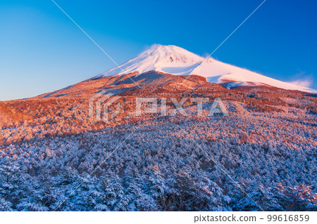 (Shizuoka Prefecture) Mt. Fuji seen from Mizugatsuka Park and Koshigirizuka Observatory during snowfall 99616859