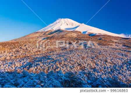(Shizuoka Prefecture) Mt. Fuji seen from Mizugatsuka Park and Koshigirizuka Observatory during snowfall 99616863