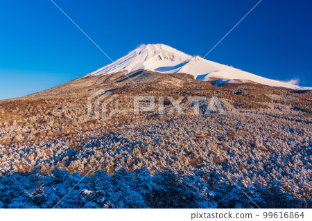 (Shizuoka Prefecture) Mt. Fuji seen from Mizugatsuka Park and Koshigirizuka Observatory during snowfall 99616864