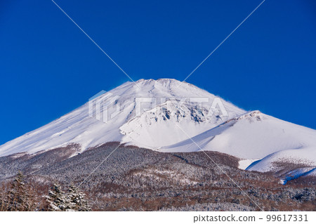 (靜岡縣)從雪中的水塚公園看到的富士山山頂 (靜岡縣)從雪中的水塚公園看到的富士山山頂 99617331