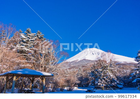 (Shizuoka Prefecture) The summit of Mt. Fuji seen from Mizugatsuka Park in the snow 99617334
