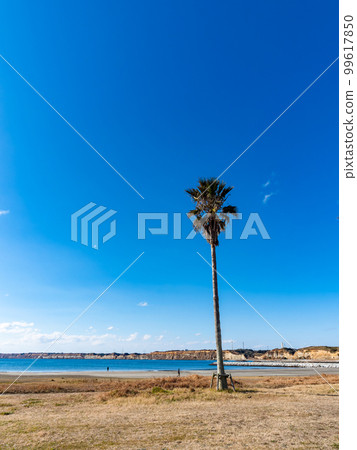 Dover, Japan: The refreshing scenery of Byobugaura, Chiba Prefecture overlooking the Pacific Ocean 99617850