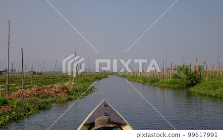 Floating garden on Inle Lake, Myanmar 99617991