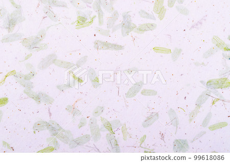 The plant handmade paper stock photo is ideal for backgrounds, textures, prints, websites and many other botanical style. The plant handmade paper stock photo is ideal for backgrounds, textures, prints, websites and many other botanical style. 99618086