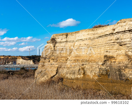 Dover, Japan Stratum of Byobugaura, Chiba Prefecture, about 2.5 million years ago 99618102