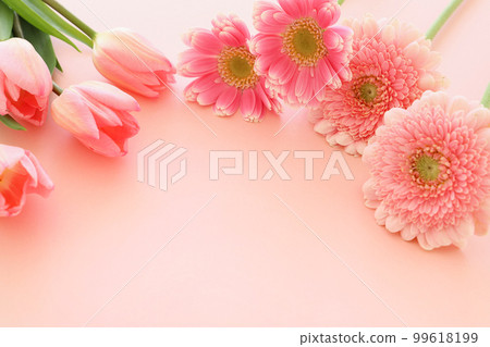 White Day Valentine's Day Pink Tulips and Gerberas 99618199