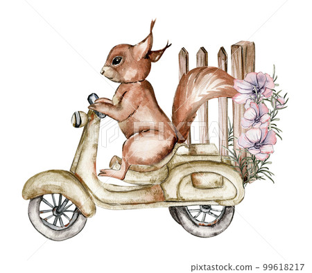 Watercolor illustration of a squirrel on rusty motorbike. An old rusty enamel element. Hand-drawn in watercolour on a white background. Perfect for wedding invitation, greetings card. 99618217