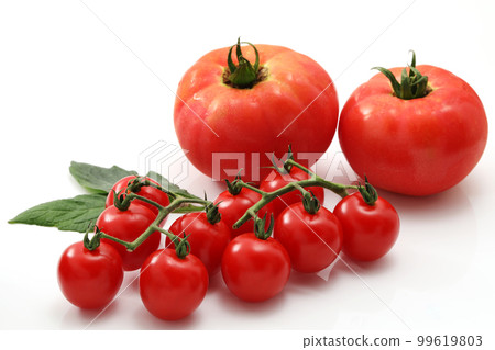 Large tomato with white back and mini tomato with cob 99619803