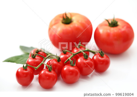 Large tomato with white back and mini tomato with cob 99619804