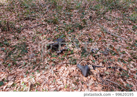 被遺棄的自行車在森林裡 被遺棄的自行車在森林裡 99620195