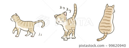 Illustration of three brown tiger cats 99620940