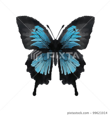 流血的藍蝴蝶,蝴蝶手繪插圖 流血的藍蝴蝶,蝴蝶手繪插圖 99621014