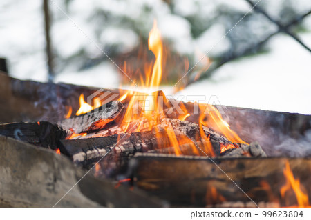 beautiful fire colorful bonfire burns in the grill for cooking food beautiful fire colorful bonfire burns in the grill for cooking food 99623804