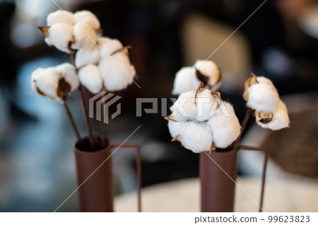 beautiful vase with cotton flowers on the table. 99623823