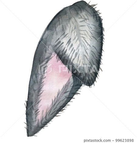Watercolor easter head bunny ears clipart 99623898