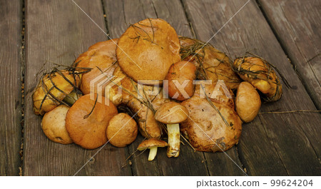 Fresh mushrooms on a wooden table. Heap of freshly picked mushrooms. Fresh mushrooms on a wooden table. Heap of freshly picked mushrooms. 99624204