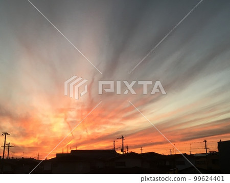 in the colors of the sunset 99624401