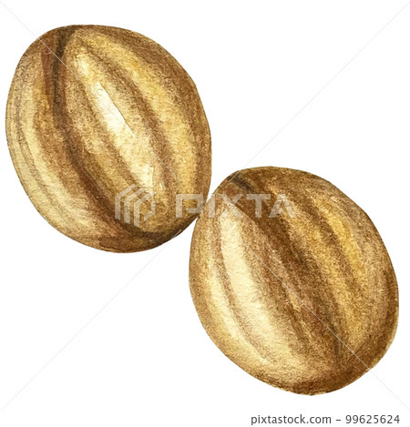 watercolor pastry cakes pops illustration watercolor pastry cakes pops illustration 99625624