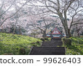 Shizuoka Prefecture Kotokuji Mt. Fuji, cherry blossoms and rape blossoms 99626403