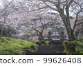 Shizuoka Prefecture Kotokuji Mt. Fuji, cherry blossoms and rape blossoms 99626408