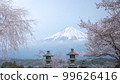 Shizuoka Prefecture Kotokuji Mt. Fuji, cherry blossoms and rape blossoms 99626416