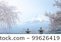 Shizuoka Prefecture Kotokuji Mt. Fuji, cherry blossoms and rape blossoms 99626419