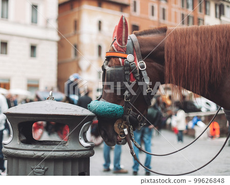 close-up portrait of a horse dressed in traditional decoration and eyes closed in the city center. 99626848