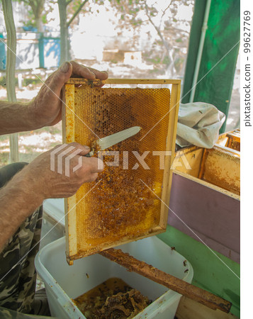 Beekeeper cuts the wax from the honey frame with a knife. Pumping out honey. Honey sealed by bees. Beekeeping and eco apiary in nature and fresh honey 99627769