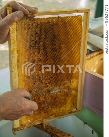 Extracting honey from honeycomb concept. Close up view of beekeeper cutting wax lids with hot knife from honeycomb for honey extraction. 99627771