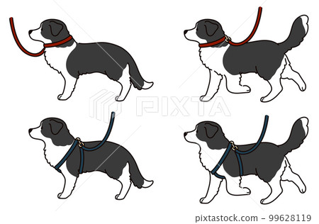 Illustration set of a simple and cute border collie walking, with main lines 99628119