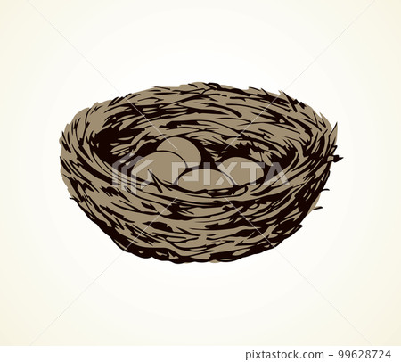 Nest. Vector drawing 99628724