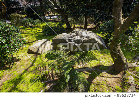 amazing rock and green moss as grass in park of Sento Imperial Palace amazing rock and green moss as grass in park of Sento Imperial Palace 99628734