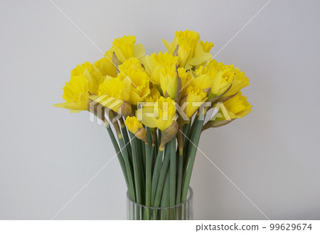 I bought a bouquet of yellow daffodils from a flower shop in the early spring season and put them in a vase. I bought a bouquet of yellow daffodils from a flower shop in the early spring season and put them in a vase. 99629674