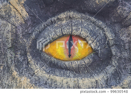 decorative dragon eye close-up decorative dragon eye close-up 99630548
