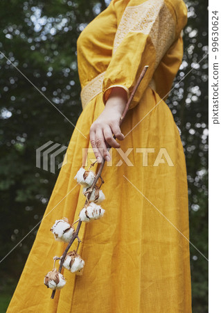 Ukrainian woman in an embroidered dress holds a sprig of cotton Ukrainian woman in an embroidered dress holds a sprig of cotton 99630624