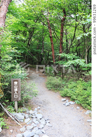 充滿自然氣息的山路 充滿自然氣息的山路 99631269