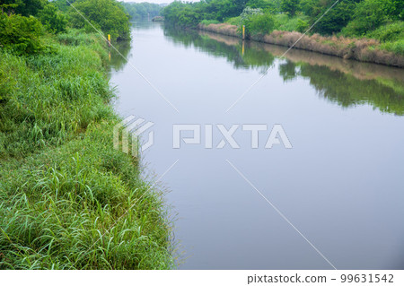 Lake Yanaka, Watarase Reservoir, view from Shimomiya Bridge, season of fresh greenery 99631542