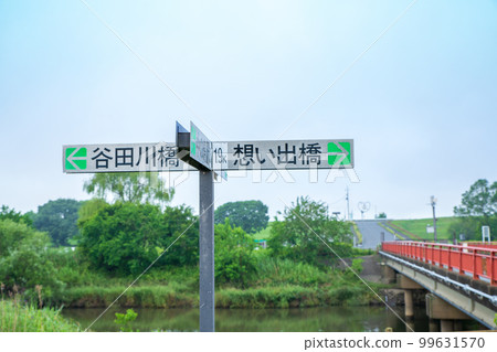 谷中湖渡良瀨水庫招牌新綠的季節 99631570