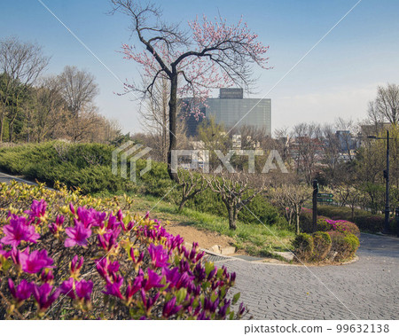 Seoul Namsan Hoehyeon-dong Jung-gu Seoul Seoul Namsan Hoehyeon-dong Jung-gu Seoul 99632138