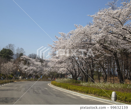 Seoul Namsan Hoehyeon-dong Jung-gu Seoul Seoul Namsan Hoehyeon-dong Jung-gu Seoul 99632139