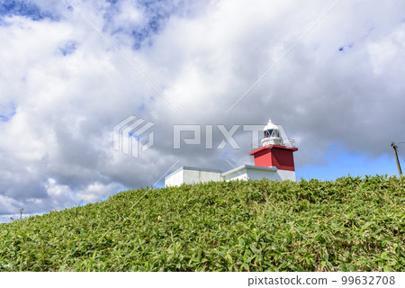 Walk around Cape Nemuro Hanasaki 99632708