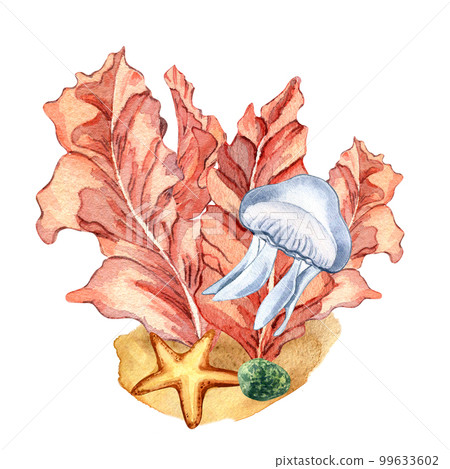 Composition of pink sea plants watercolor illustration isolated on white. 99633602