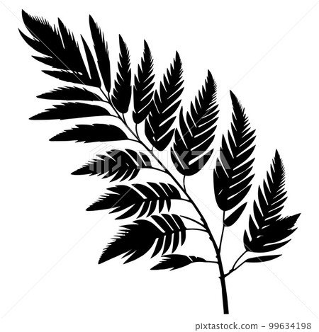 Palm leaf background. Realistic palm tree leaf silhouette isolated element. Black shadow shape isolated on white transparent background. Plotter laser cutting file. Vector Illustration. 99634198
