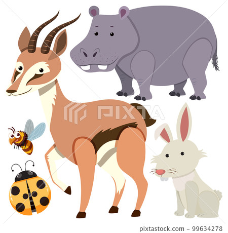 Set of animals cartoon simple style 99634278