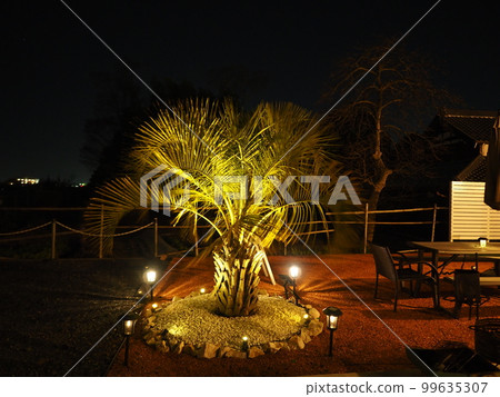 American garage house with palm trees night view American garage house with palm trees night view 99635307