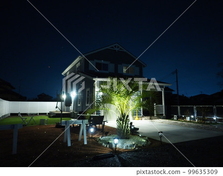 American garage house with palm trees night view 99635309