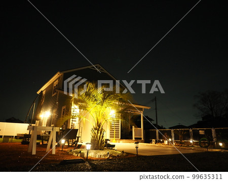 有棕櫚樹夜景的美國車庫房子 99635311